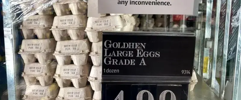 Soaring US egg prices put pressure on consumers, businesses