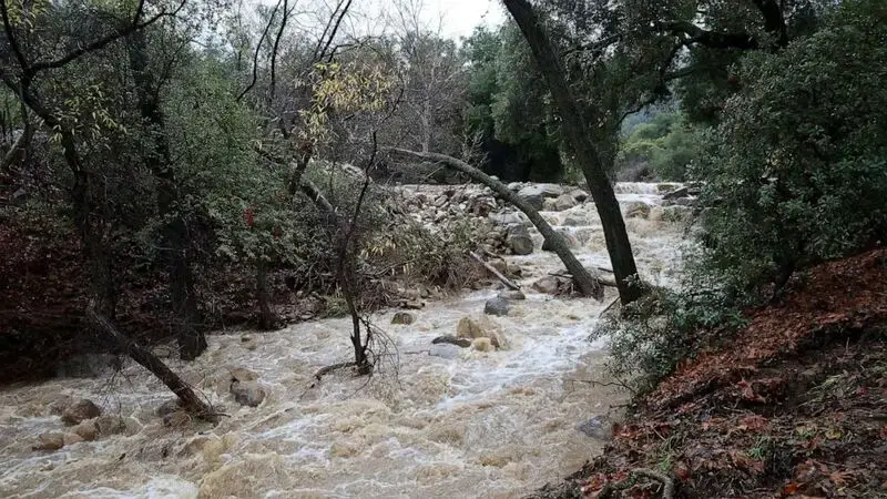 Torrential rains wreaking havoc on California communities proving beneficial for state's forests