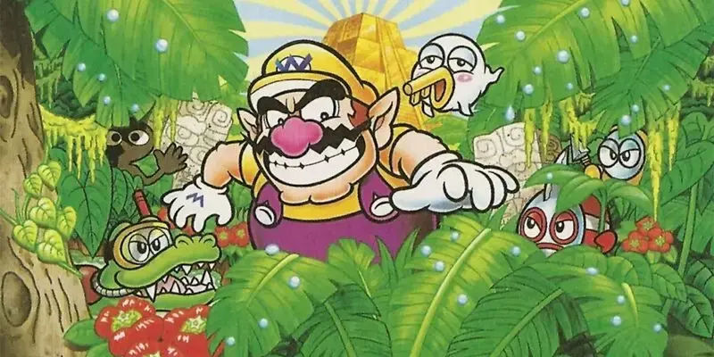 Grandchild Finds 26 Copies Of Wario Land 4 In Their Late Grandma's Attic