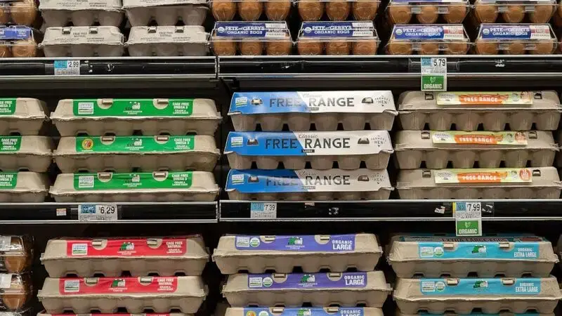 Egg prices reach historic highs amid avian flu outbreak, inflation woes