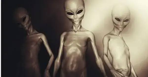 Physicist James Kune is certain that there is at least one country with a society of more than a million aliens on Earth