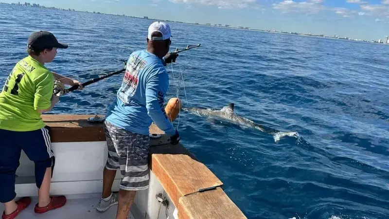 12-year-old catches great white shark while fishing in Florida