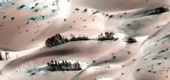 Discover the first unusual "trees on Mars" - The strange mystery of the Red Planet