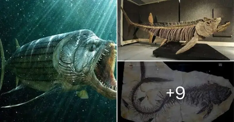 Argentinian paleontologists have found the largest fish that has ever existed in human history