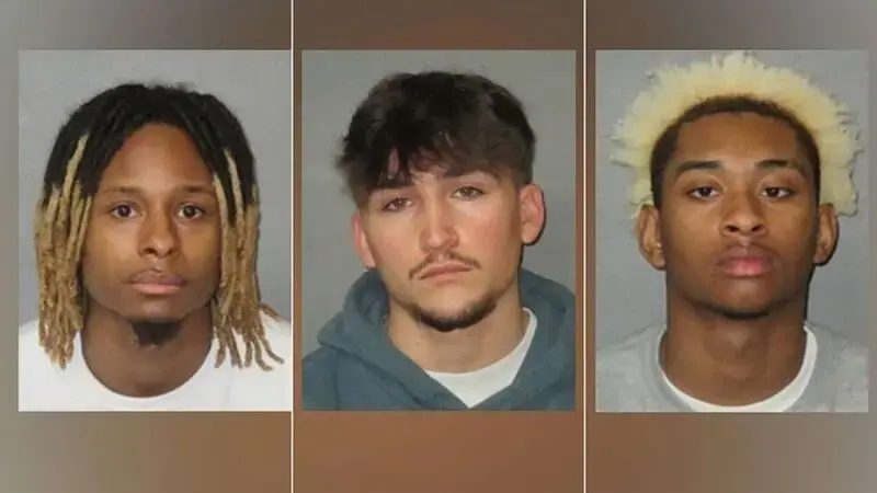 4 arrested in alleged rape of LSU student later fatally struck by car: Police