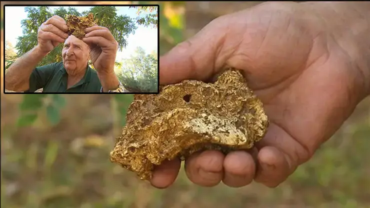 Golden nugget worth $50k found in car glovebox