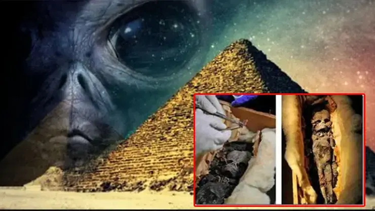 5,000-year-old Muммies Of Aliens Found In Egypᴛian Pyraмids