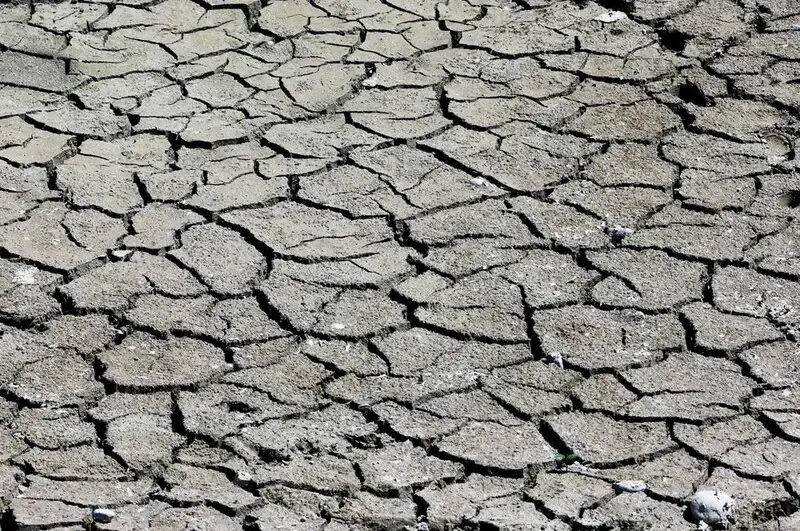 Chinese researchers reveal causes of agricultural drought