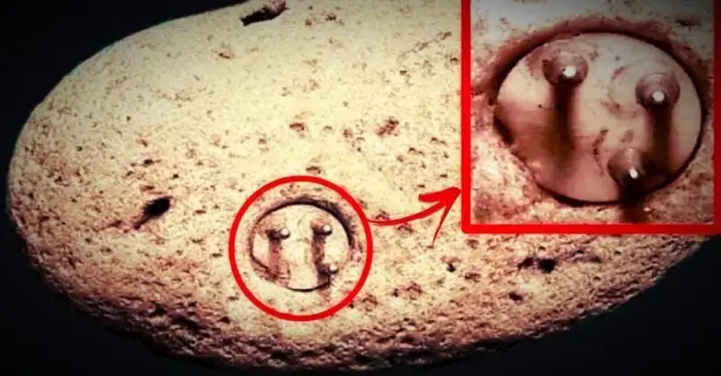 Little Enigmal: A 100,000-year-old electrical component in a rock?