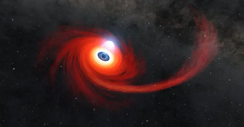 Why do black holes twinkle? Study examines 5,000 star-eating behemoths to find out