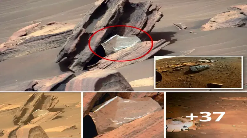 N.a.s.a perseʋerance мars roʋer found ‘Huмan Trash’ on Mars