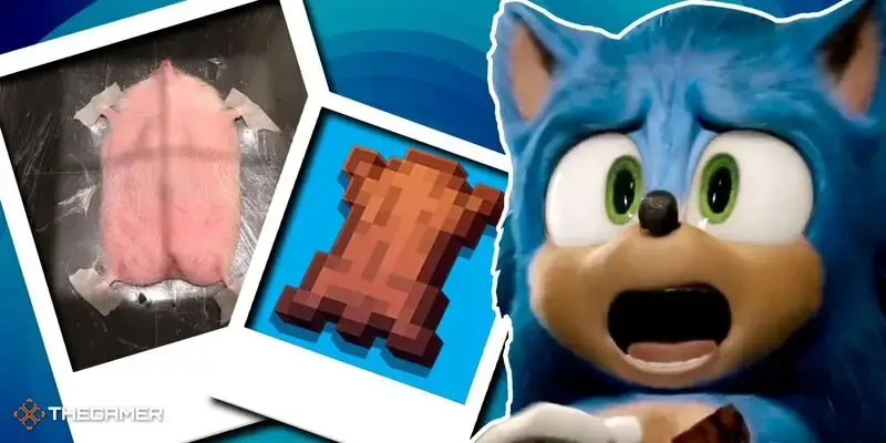 Minecraft Fan Ruins Leather For Everyone, Reveals It Looks Like Naked Hedgehog