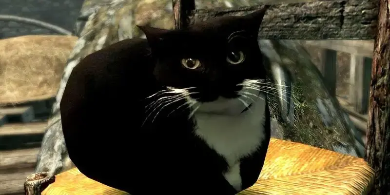 Skyrim Mod Adds Viral TikTok Meme Maxwell The Cat