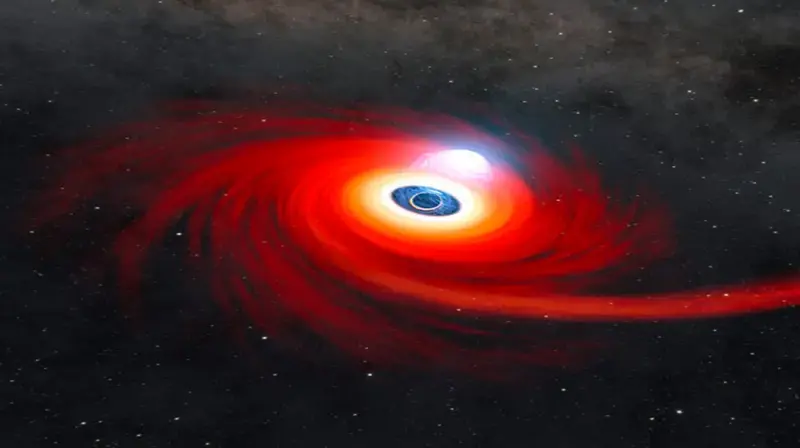 A Star Came too Close to a Black Hole. It Didn’t End Well