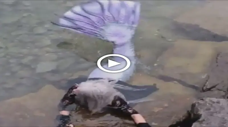 A video shows a mermaid’s spirit swimming beneath a bridge in the Elk Rapids River (video)
