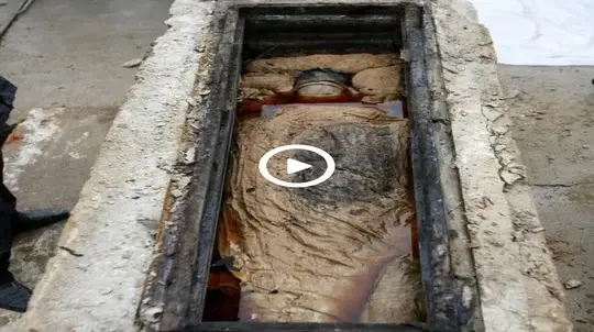 When a mysterious 700-year-old mummy preserved using ancient technologies suddenly appeared in China, archaeologists were perplexed