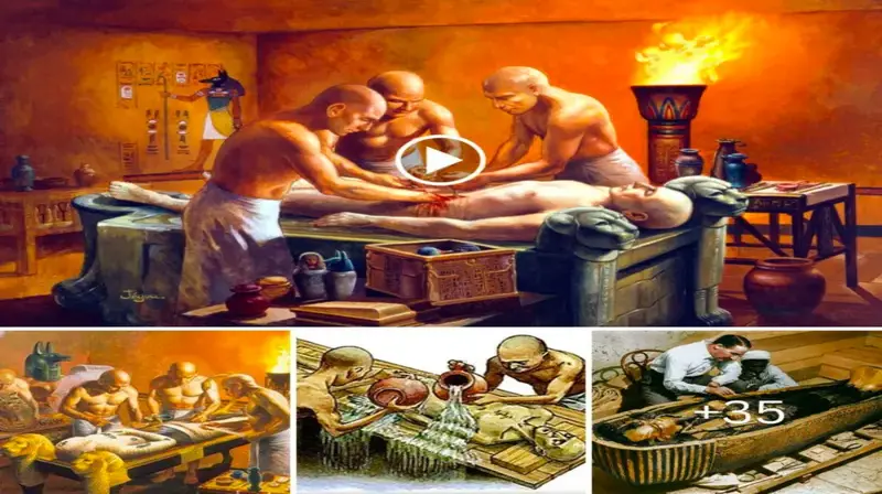 Unveiling the Secrets of Egyptian Mummification: Ancient Greek Discovery ѕһoсkѕ Archaeology World