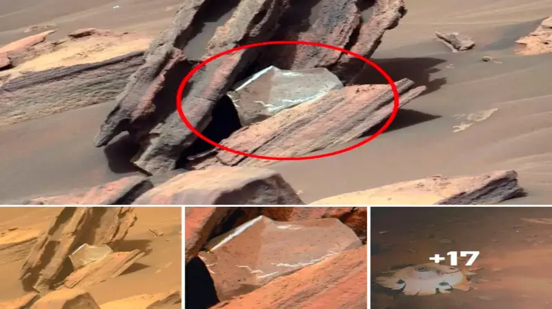 Incredible Findings: Human Trash on Mars!