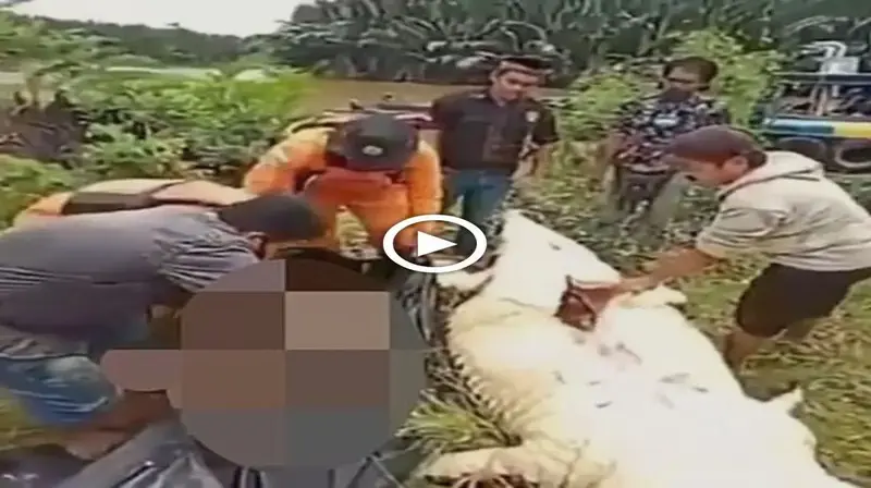 The whole village was shocked to see a live baby found in the fish’s belly (VIDEO)