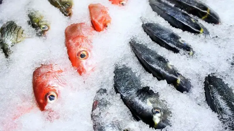 Michigan man charged with assault for allegedly hitting clerk on head with frozen fish