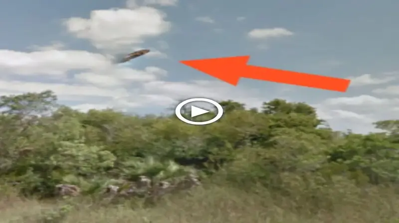 Investigate Reports of “Butterfly Shaped” UFOs Appearing Over Florida’s Mysterious Swamps (VIDEO)