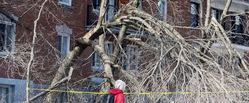 Hundreds of thousands still in dark from ice storm in Canada