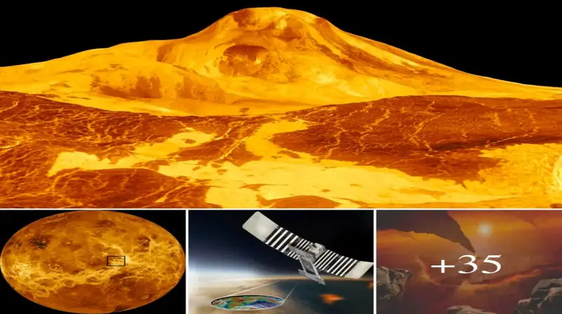 Venus’s Volcanic Activity, Earth’s Evil Twin, as Seen by NASA’s Magellan Data