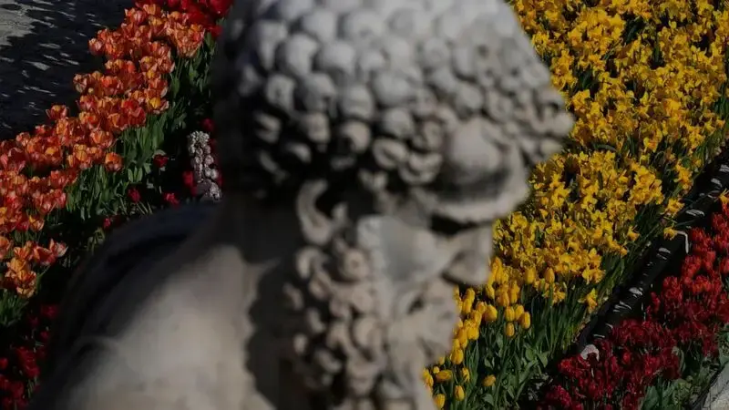 Pope, big crowd mark Easter in flower-adorned Vatican square