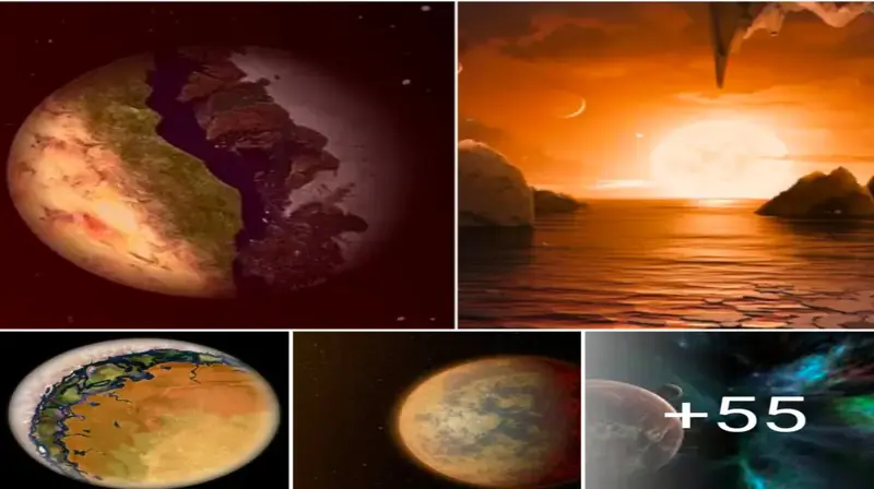 Terminator Zones on Hard Planets May Support Life in an Eternal Twilight