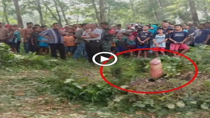 The villagers gathered around the forest when they saw the appearance of a plant shaped like a pe.n.is, what’s the mystery behind it? (VIDEO)