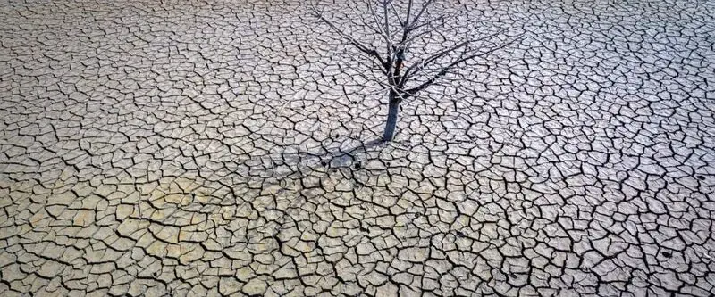 Spain pleads for EU crisis funds as drought hits farmers