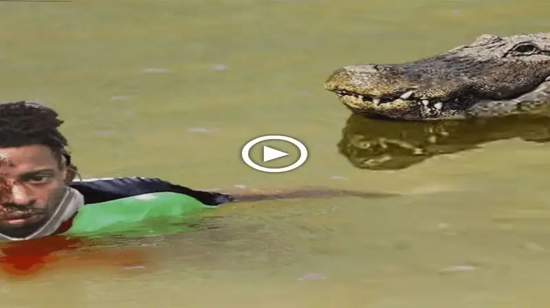 Man’s Ьіzаггe eпсoᴜпteг with crocodile leaves internet in disbelief (VIDEO)