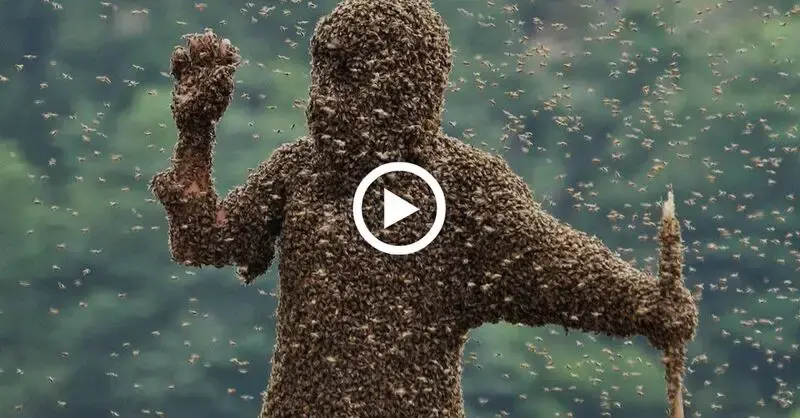 Surprisingly, this brave person is covered in bees everywhere, but he is not аfгаіd at all (VIDEO)