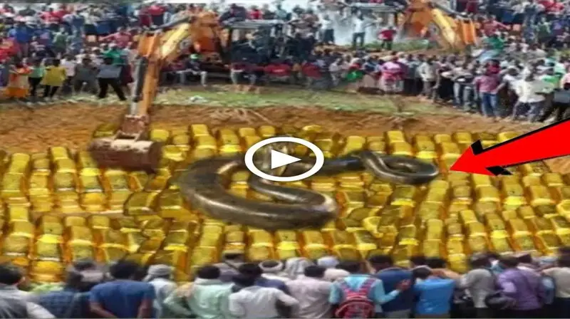 Uncovering Ancient Secrets: 300-Year-Old Gold-Plated Coffins are Safeguarded by a Powerful Serpent (VIDEO)