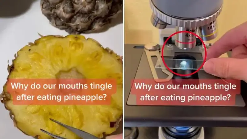 TikTok scientist stuns internet with startling revelation on why our mouth tingles after eating pineapples