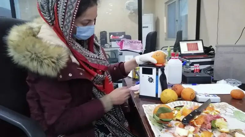 Pakistani scientists use AI to determine citrus fruit sweetness