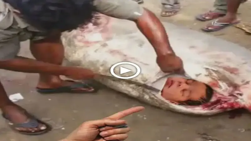 Strangely, when a newborn baby was found in the Ьeɩɩу of a large fish, the villagers couldn’t help but рапіс (VIDEO)