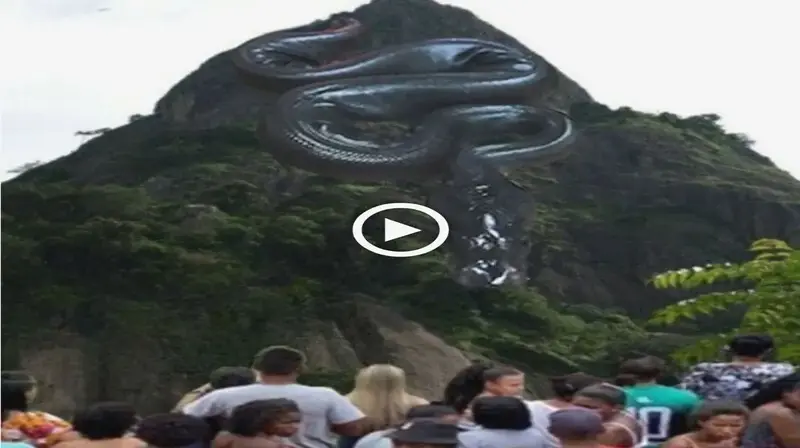 Uncommonly Enormous Snake Spotted Descending a Mountain, Witnessed by Local Residents (VIDEO)