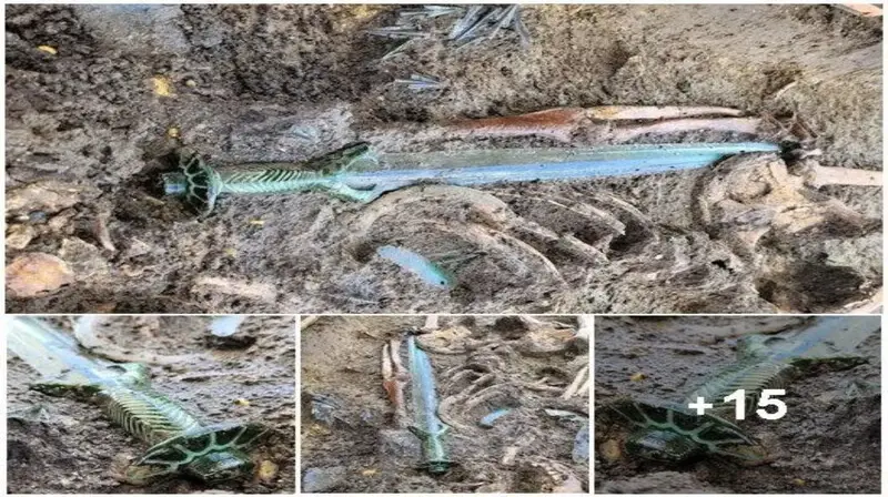 Archaeologists Uncover Exceptionally Preserved 3,000-Year-Old Sword in Germany, Radiating Brilliance
