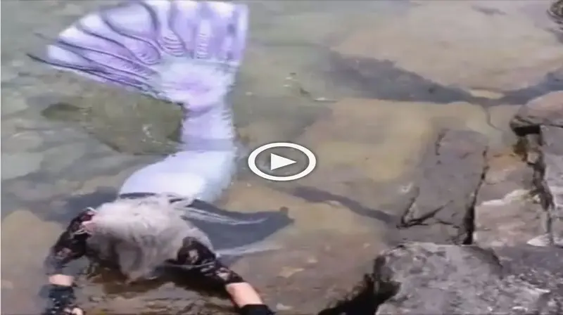 Watch a short video of Mermaid Phantom swimming in the Elk Rapids River, gracefully gliding under a bridge (VIDEO)