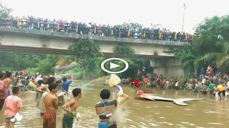 The appearance of a mermaid floating on the water makes all the people feel curious and woггіed about what will happen (VIDEO)