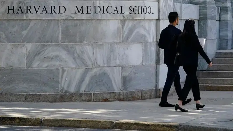 Arrests have been made in a human remains trade tied to Harvard Medical School. Here's what to know