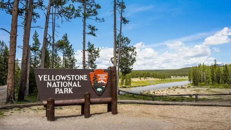 Woman found dead after suspected bear encounter near Yellowstone, wildlife officials say