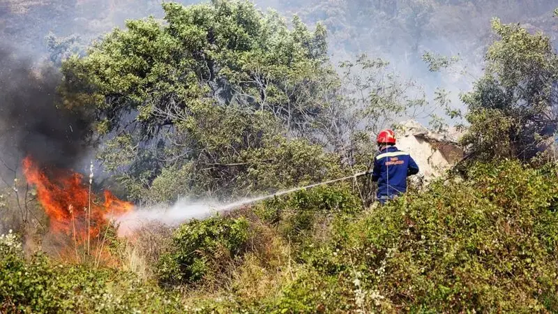 Deadly wildfires in Greece and other European countries destroy homes and threaten nature reserves