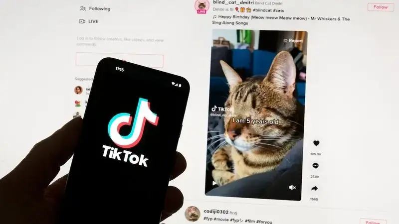 TikTok's Irish data center up and running as European privacy project gets under way
