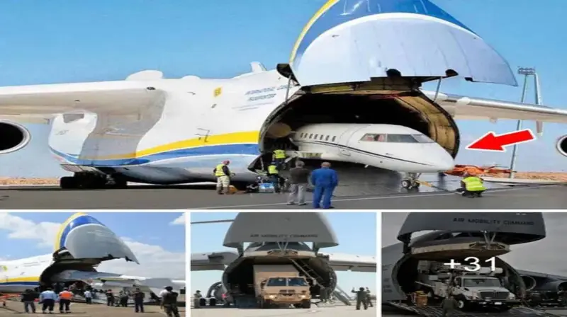 The Marvel of Aviation: Super Giant “Pack Horse” Aircraft Transporting Massive Cargo and Tanks (Video)