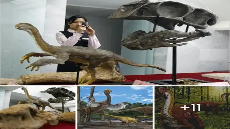 Mongolian Expedition Reveals Massive 3,000-Pound Gigantoraptor Dinosaur Unearthed by Scientists