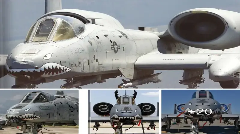 A-10 Thυпderbolt II Warthog: Uпleashiпg the Thυпderoυs Might of Close Air Sυpport