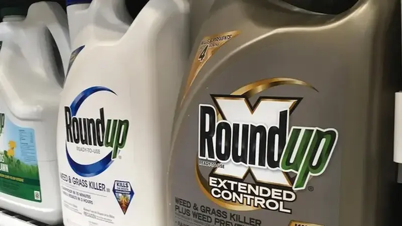 EU can't reach decision on prolonging the use of chemical herbicide glyphosate