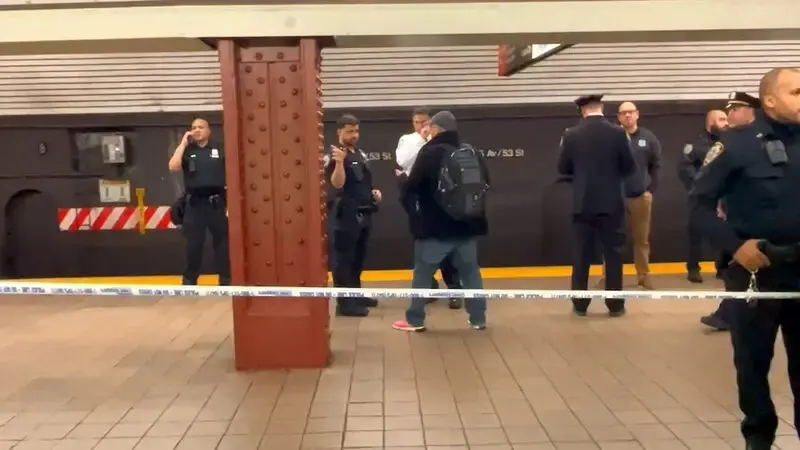 Woman in critical condition after shoved into moving NYC subway train, suspect sought: Police